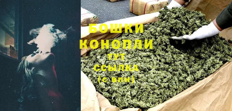 MEGA как зайти  Исилькуль  Конопля SATIVA & INDICA 